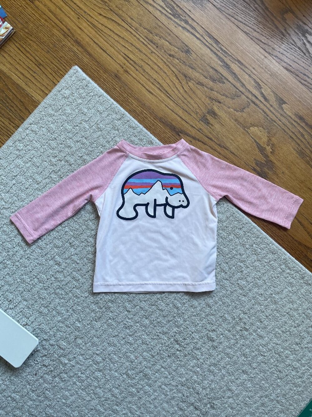 Patagonia Capilene Manatee shirt 6-12m